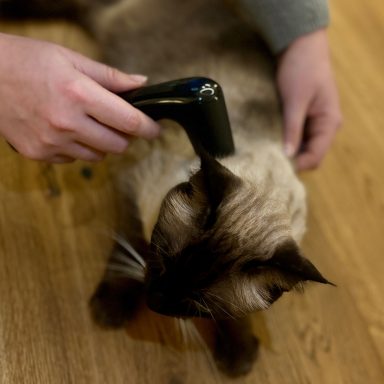 Behandlung mit dem Novafon Behandlung mit dem Novafon